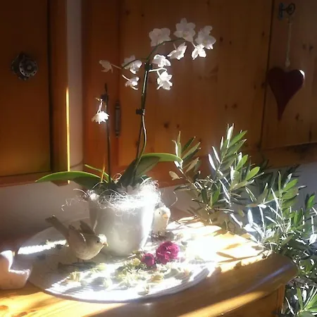 Und Edelweiss Bed & Breakfast 3*