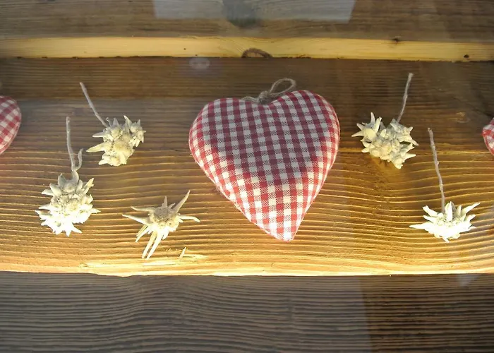 Pension Und Apartment Edelweiss