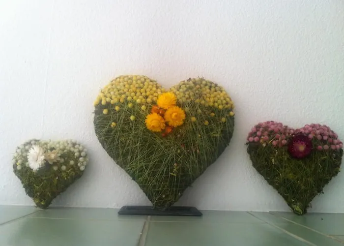 Pension Und Apartment Edelweiss Heiligenblut