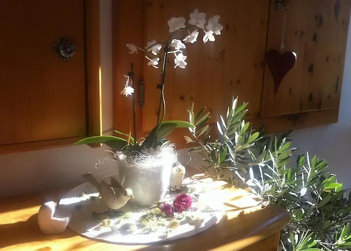 Pension Und Apartment Edelweiss Bed & Breakfast 3*